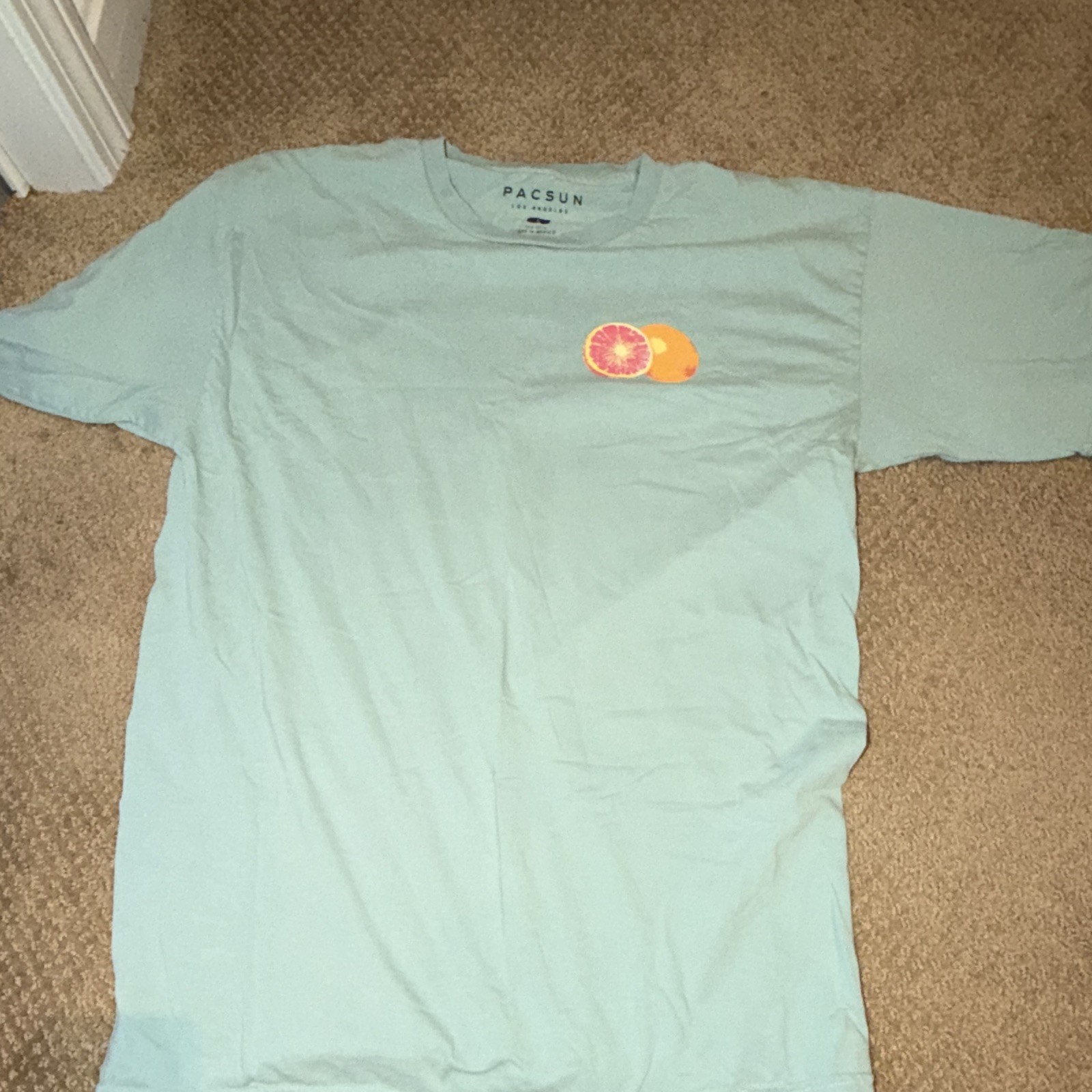 PacSun Men’s Light Blue Santa Monica Farmers Market Double-Sided Graphic Tee L