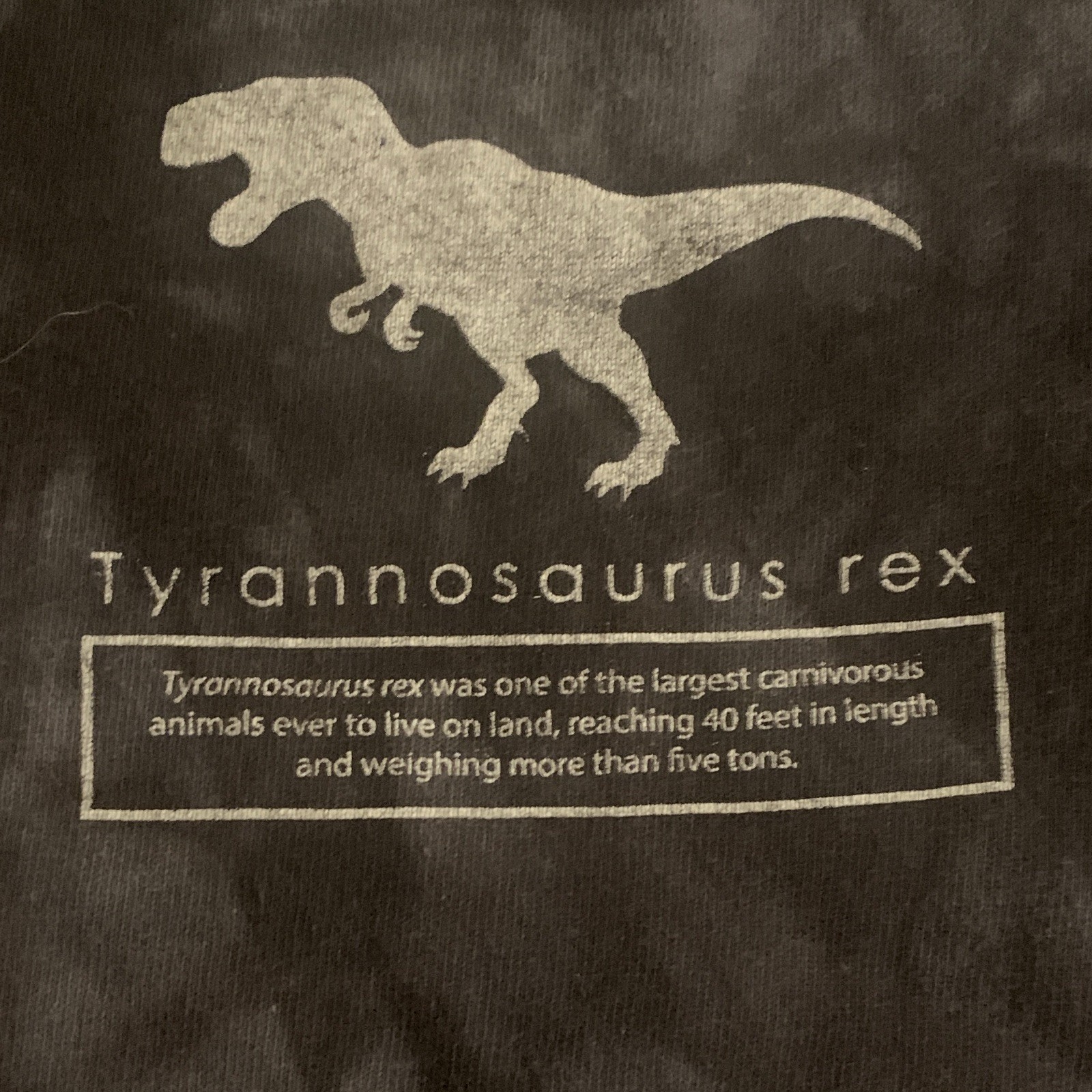 The Mountain Smithsonian Natl Museum of Natural History T-Rex Tie-Dye Child’s XL