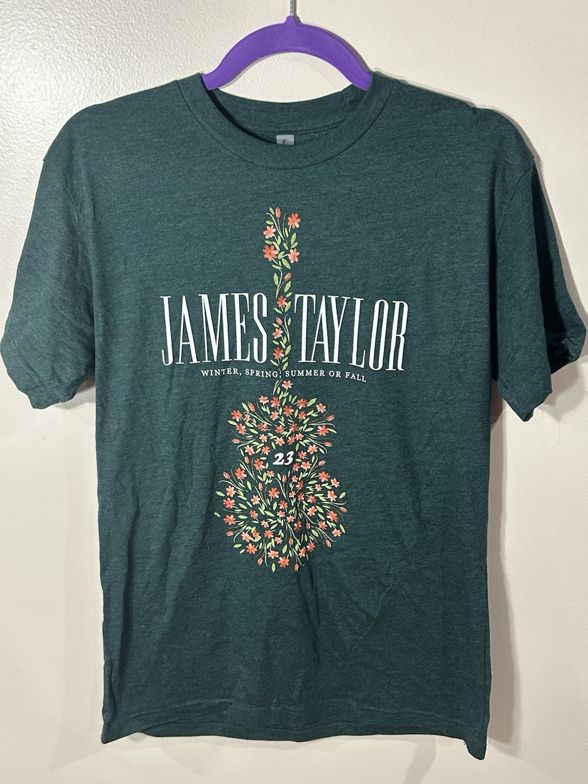 James Taylor Small T Shirt-Green 2023 Winter, Spring Summer Fall SS Concert