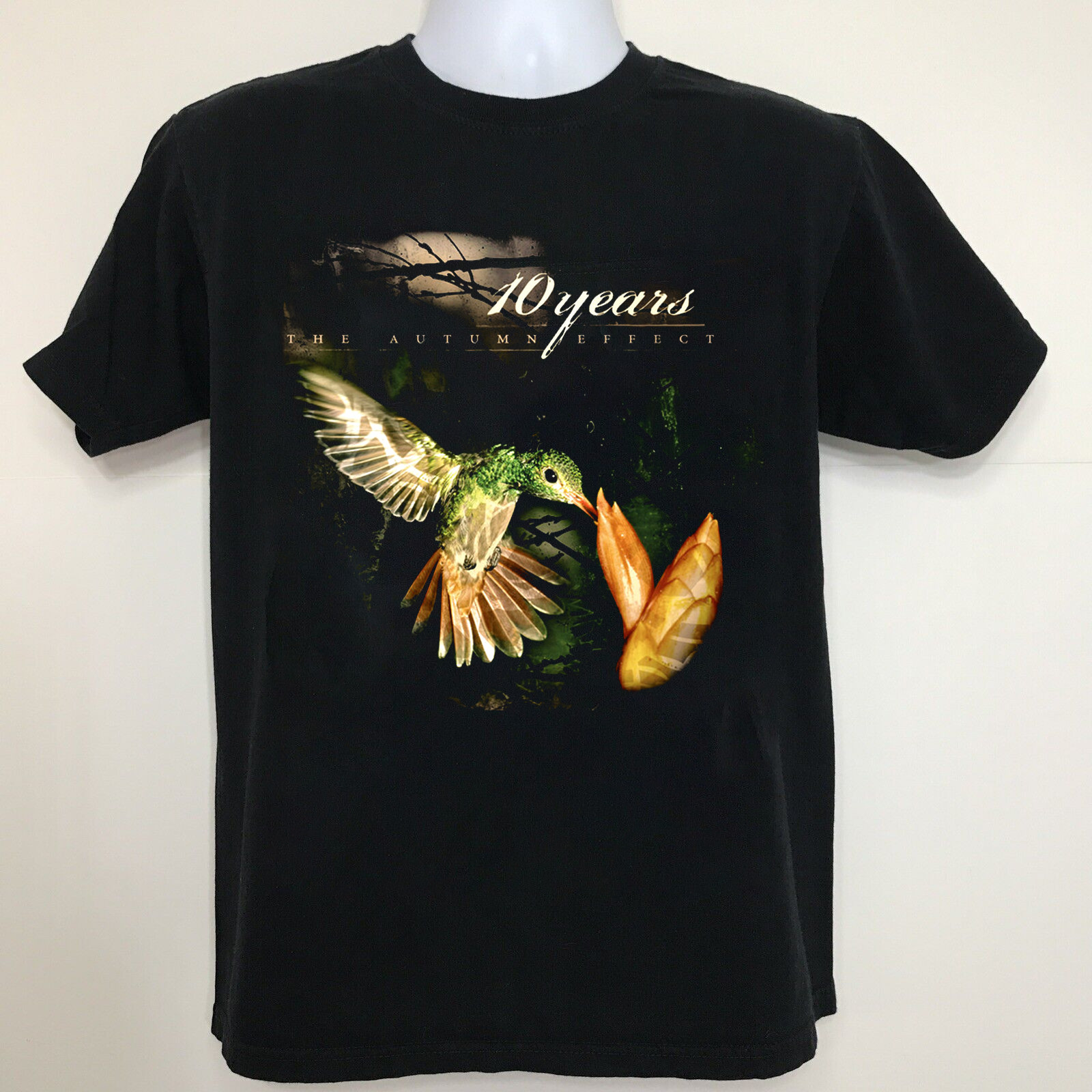 Rare 10 Years Band The Autumn Effect Gift For FanS to 5XL T-shirt