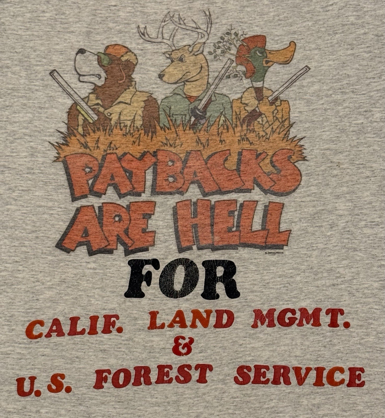 Vtg 80s “Paybacks Are Hell” US Forest Service Shirt Large Earth First Greenpeace