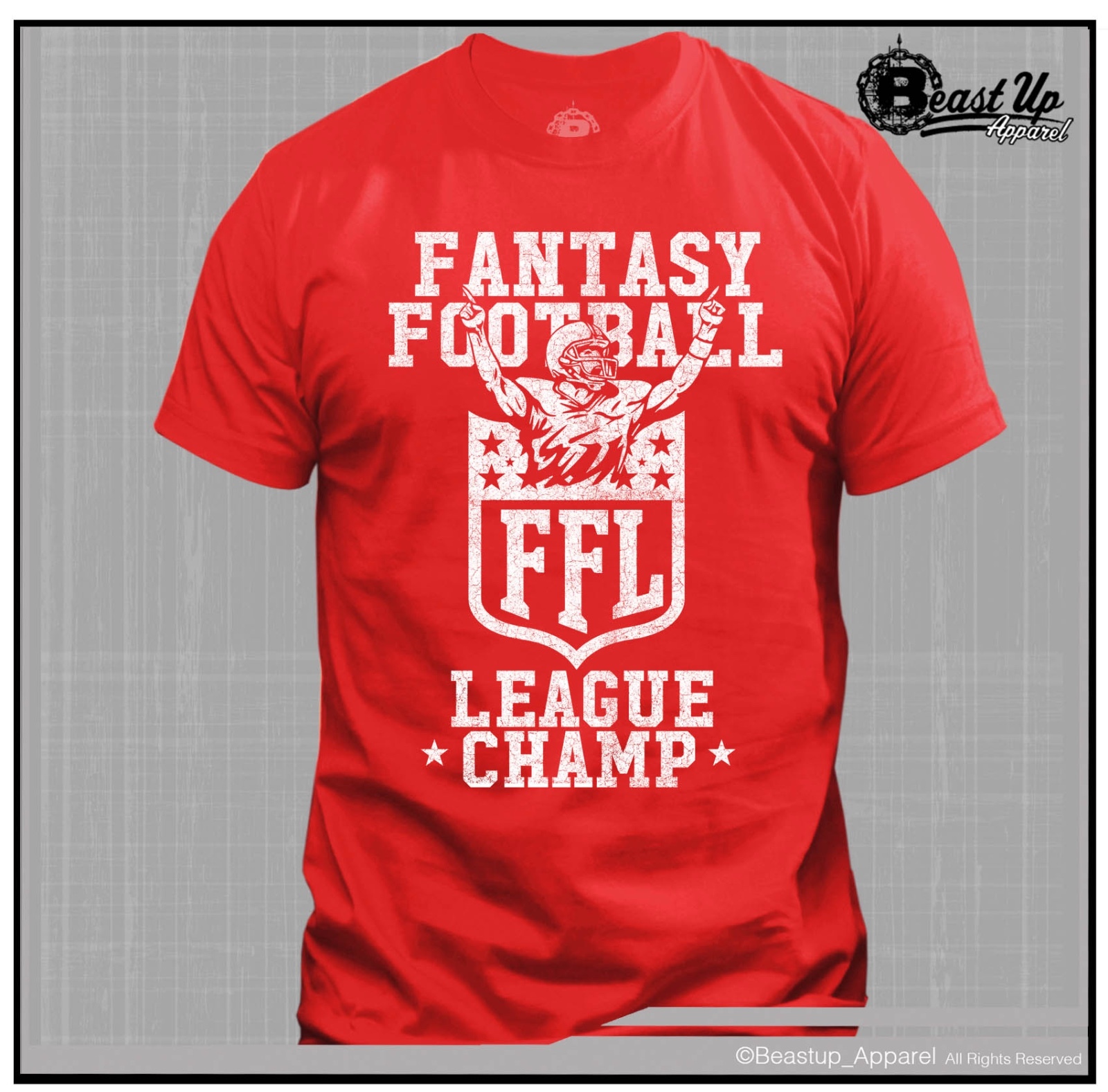 FANTASY FOOTBALL LEAGUE CHAMP T SHIRT SIZES M-2XL VARIOUS COLORS BRAGGING RIGHTS