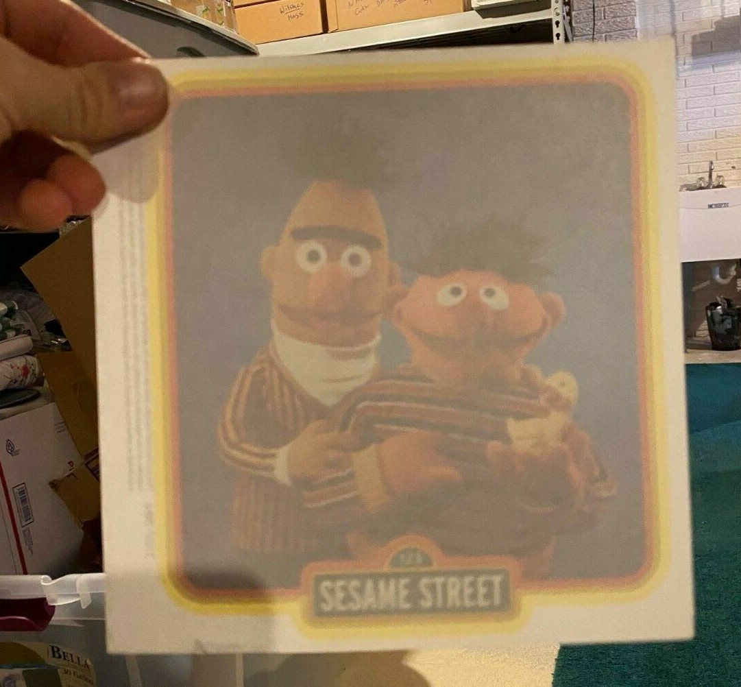 Sesame Street T-Shirt Transfers – Your Choice of 11 Different Designs!