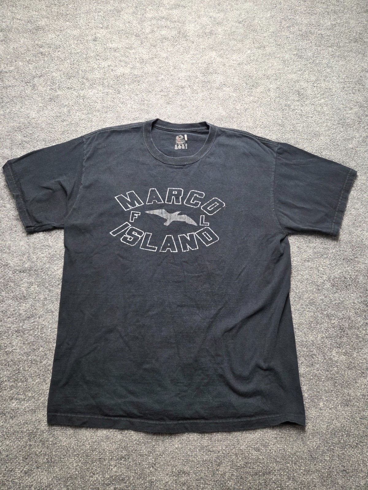 Fruit Of The Loom T Shirt Mens Sz L Black 100% Cotton Graphic Cottton Casual Tee