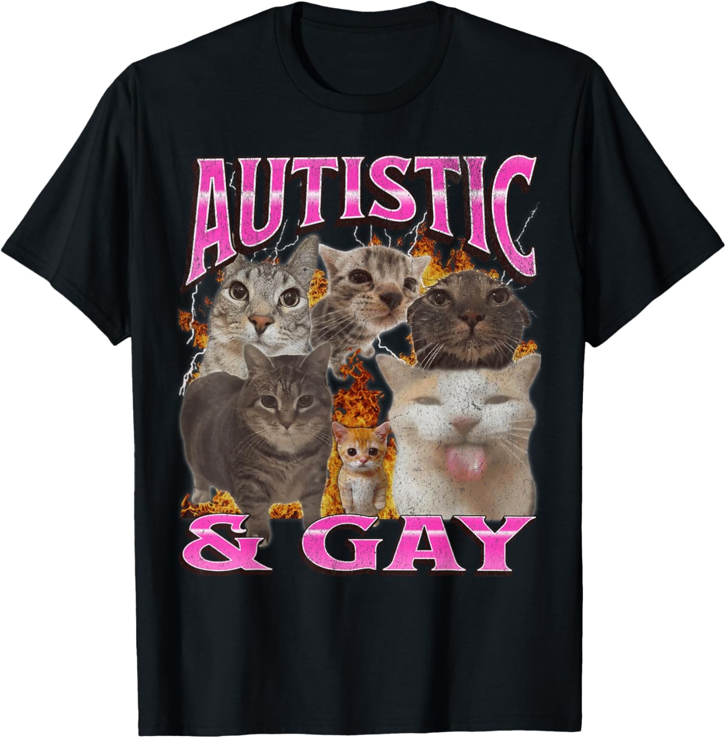 Autistic and Gay Funny Cat Meme Bootleg Graphic T-Shirt for Men Women
