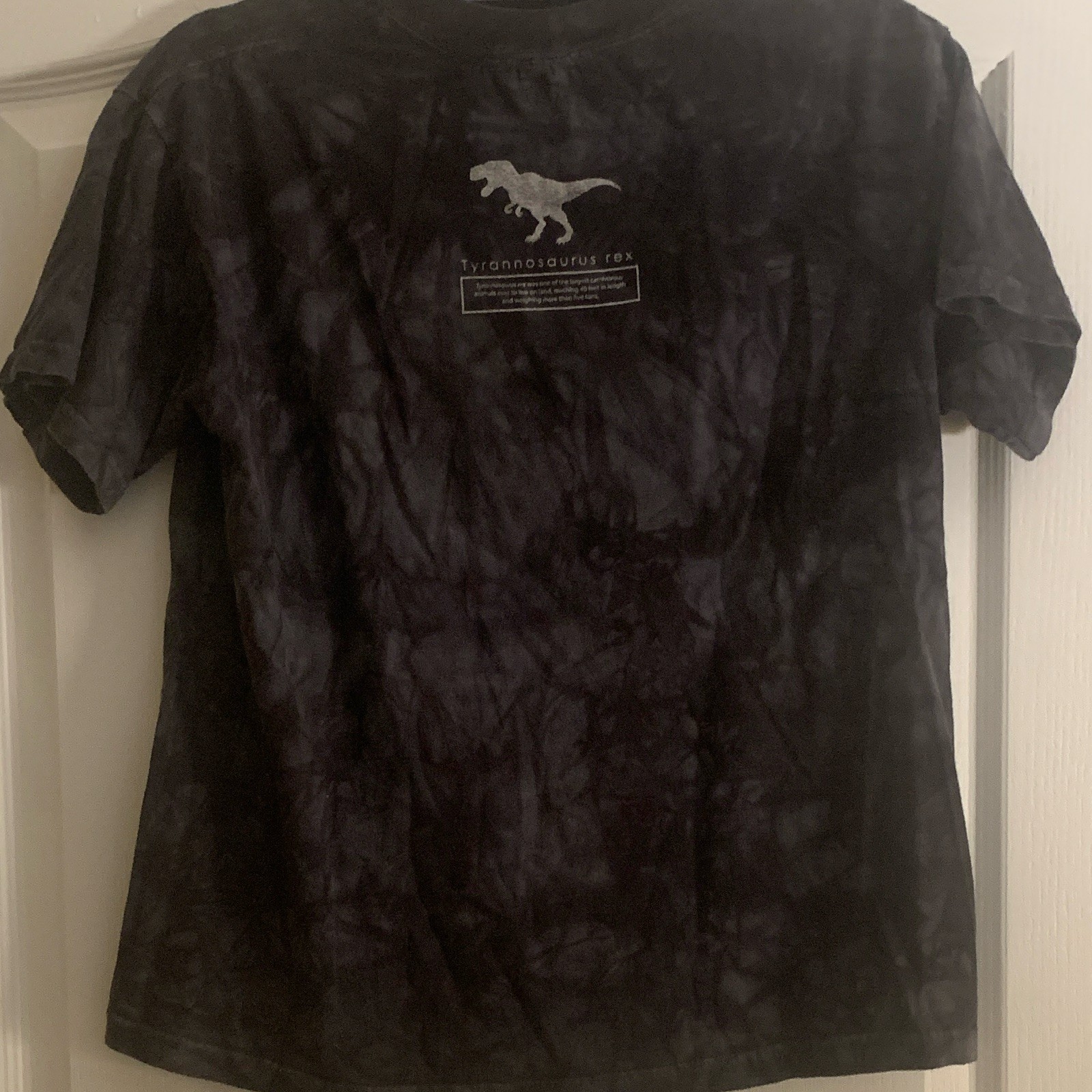 The Mountain Smithsonian Natl Museum of Natural History T-Rex Tie-Dye Child’s XL