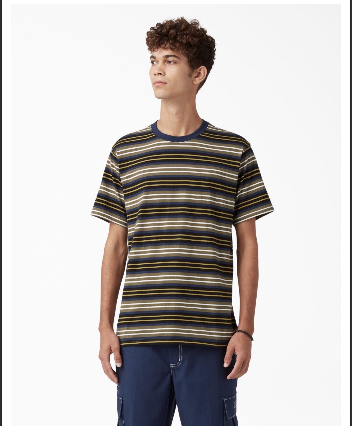 Dickies Skateboarding Striped Tshirt – Black/Moss Stripe
