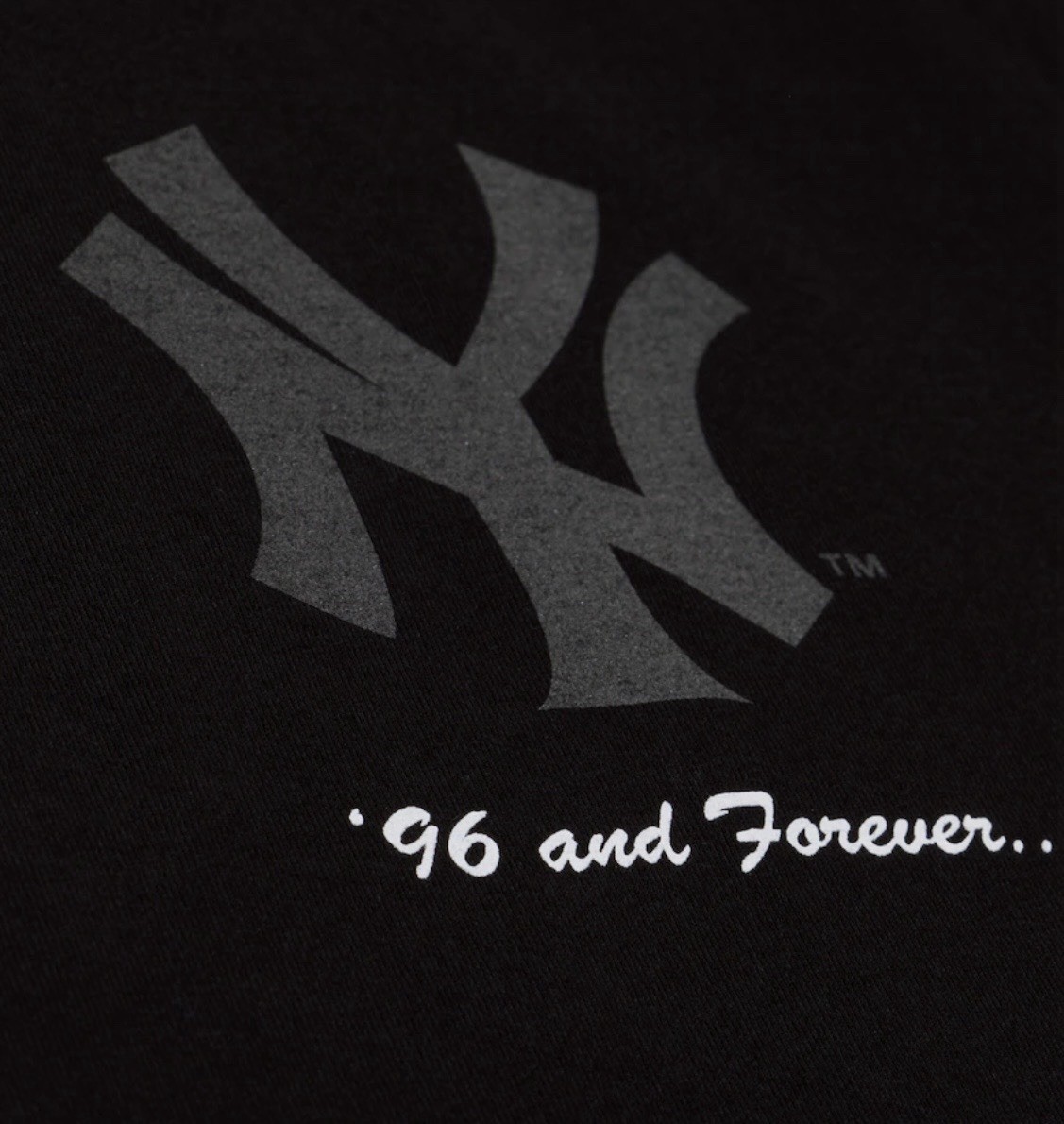 Mitchell & Ness x Jay-Z30 Reasonable Doubt Tee New York Yankees Jay-Z Lg In Hand
