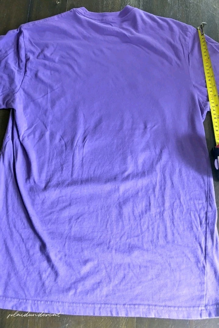 Prof Horse Album StopHouse Concrete Tshirt Detroit Michigan April 2024