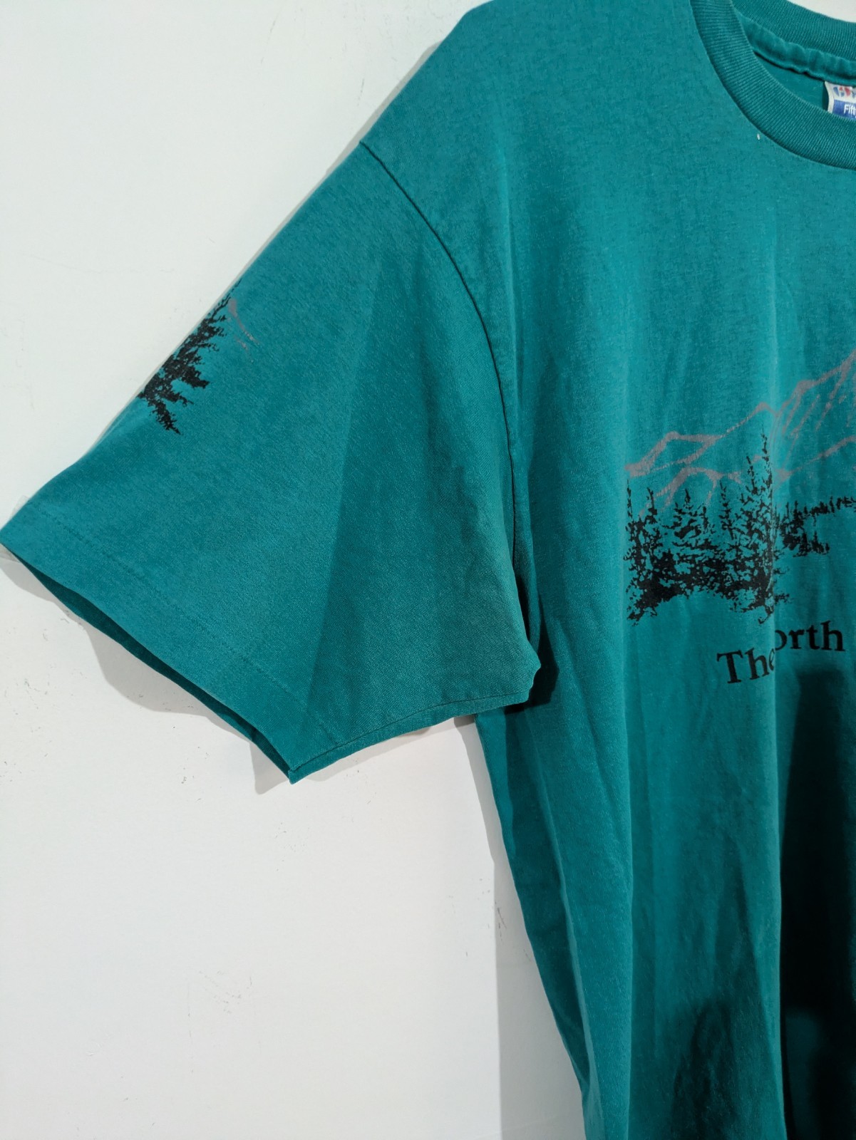 3166 Hanes Fifty-Fifty Men’s L Teal North Cascades, WA Graphic Crew Neck T-Shirt
