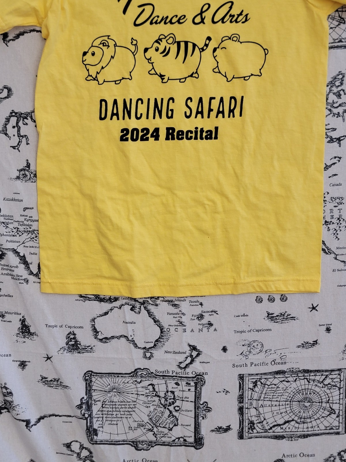 Gildan Custom Ink Expressions Dance Arts Dancing Safari 2024 Recital T-Shirt S