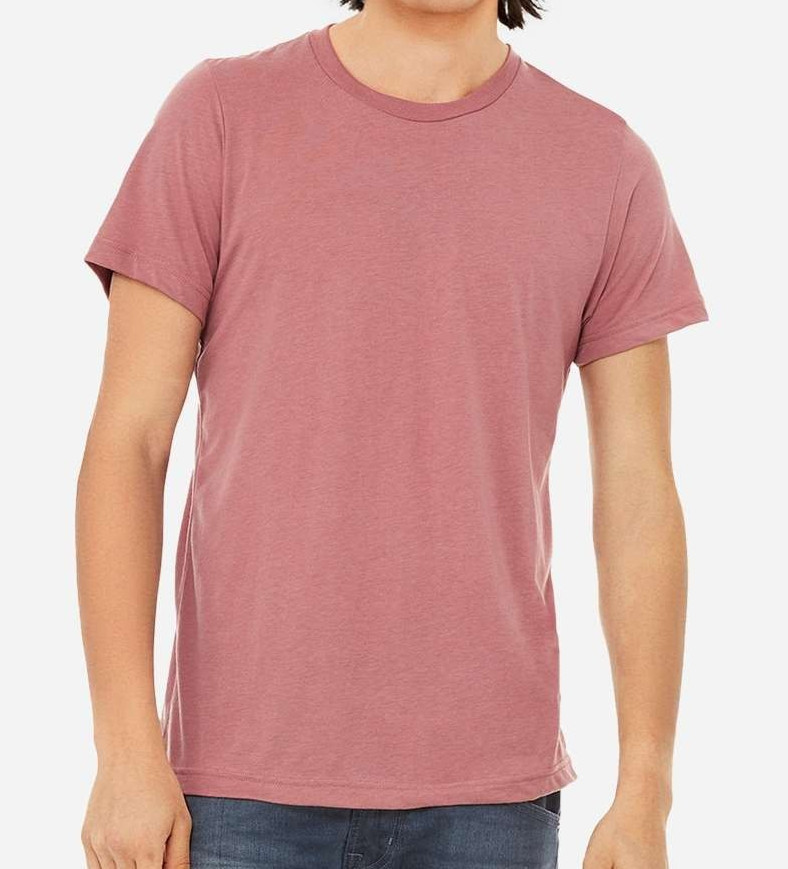 NEW Blank Bella + Canvas Triblend Unisex/Mens T-Shirt #3413 Various Colors