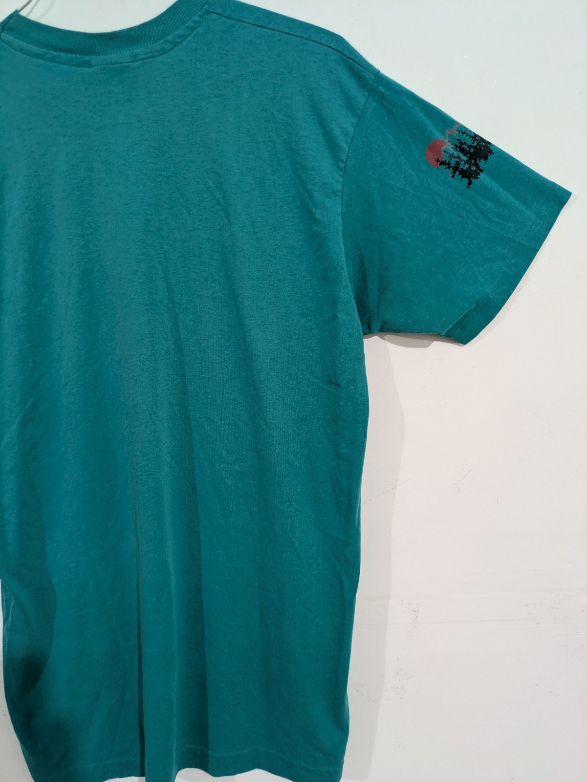 3166 Hanes Fifty-Fifty Men’s L Teal North Cascades, WA Graphic Crew Neck T-Shirt