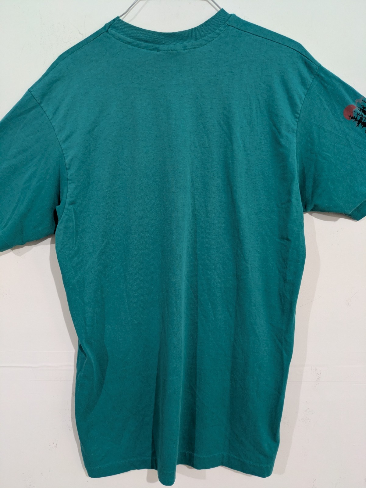 3166 Hanes Fifty-Fifty Men’s L Teal North Cascades, WA Graphic Crew Neck T-Shirt