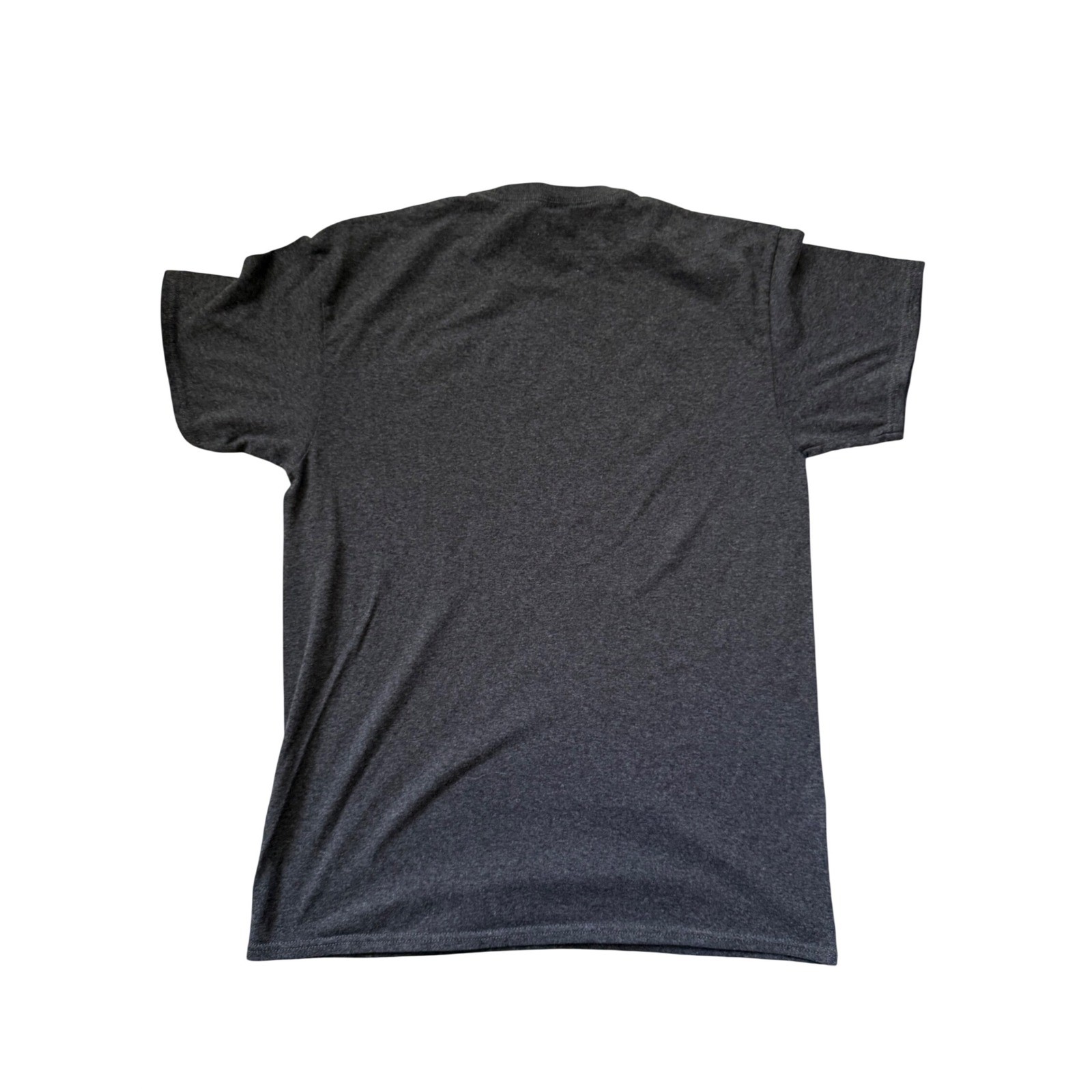 Delta Pro Weight Sorry Not Everyone Can Be Me Graphic T-Shirt Gray Mens Large