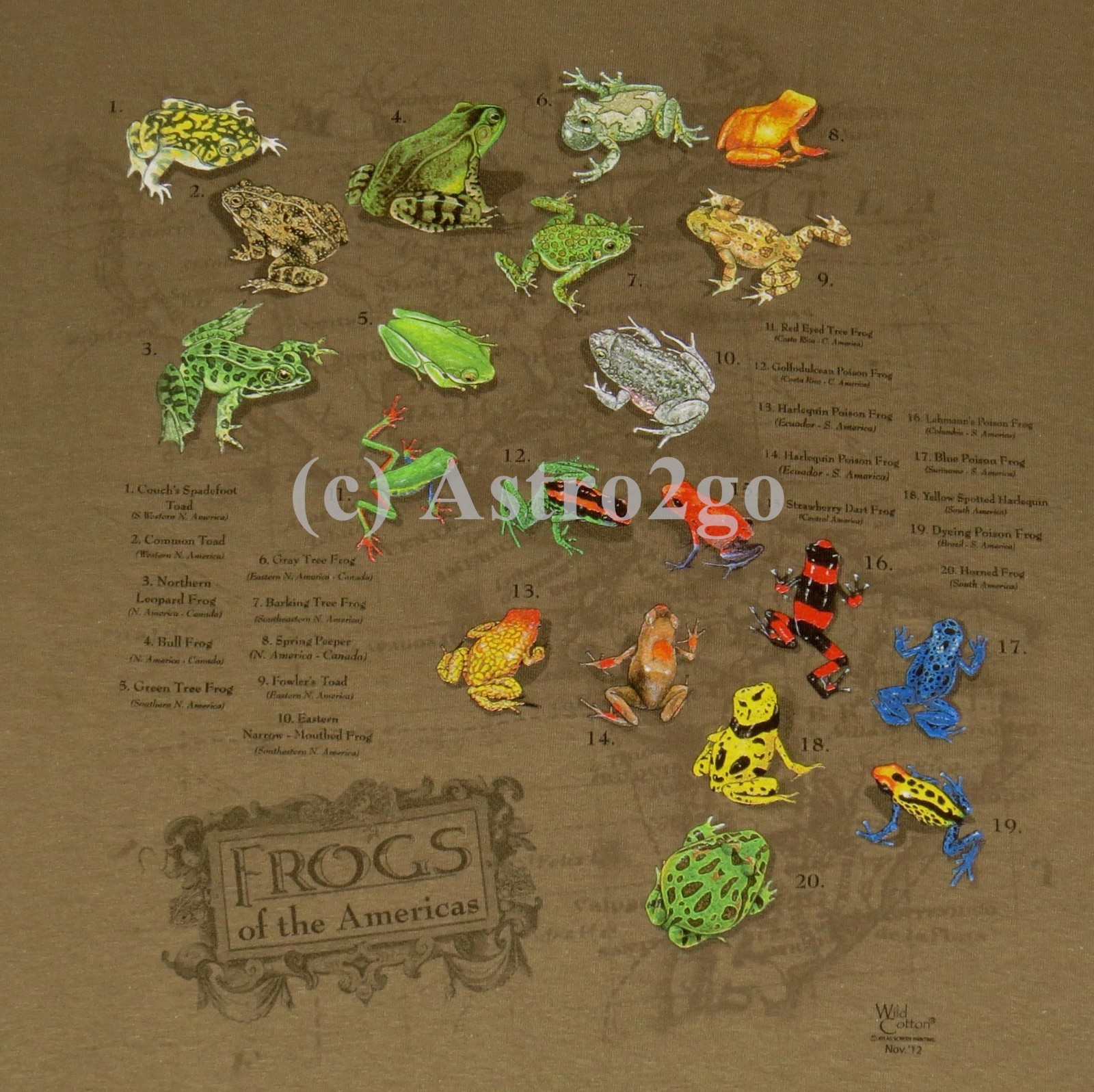 FROGS OF THE AMERICAS–Toads Amphibians Bull Leopard Tree Poison Dart T shirt