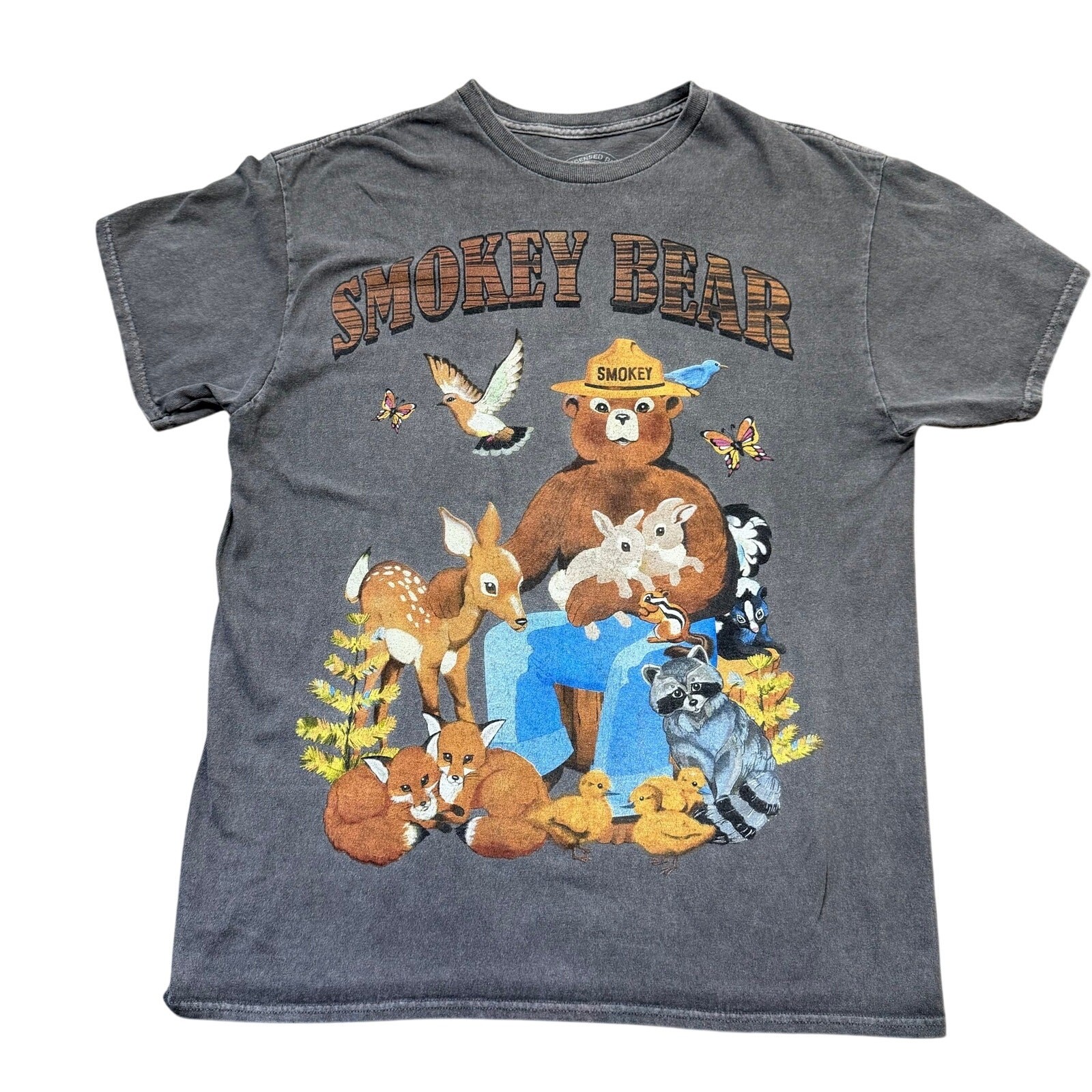 Smokey Bear Official Licensed Graphic T Shirt Men’s Medium Gray 100% Cotton