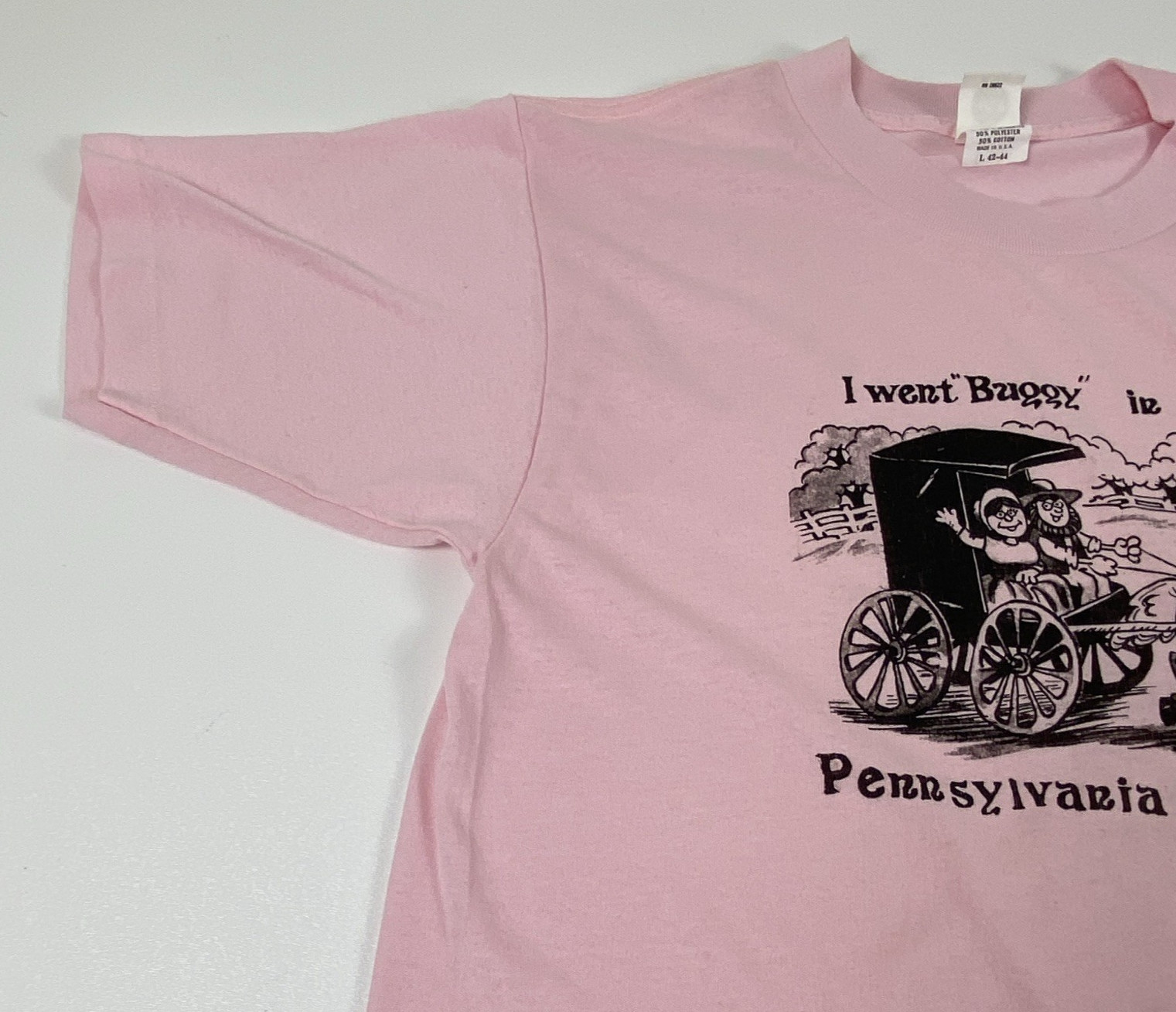 Globe Crew Neck Short Sleeve Logo Graphic T-Shirt Pink Size L