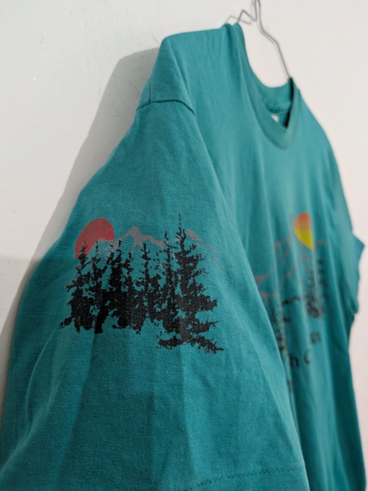 3166 Hanes Fifty-Fifty Men’s L Teal North Cascades, WA Graphic Crew Neck T-Shirt