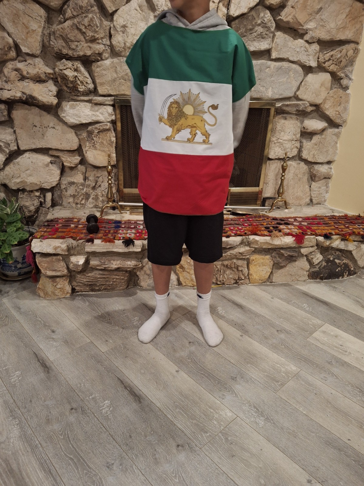 Persian flag Lion and Sun (Shir-o-Khorshid) Wearable flag ,Protest ,Unisex