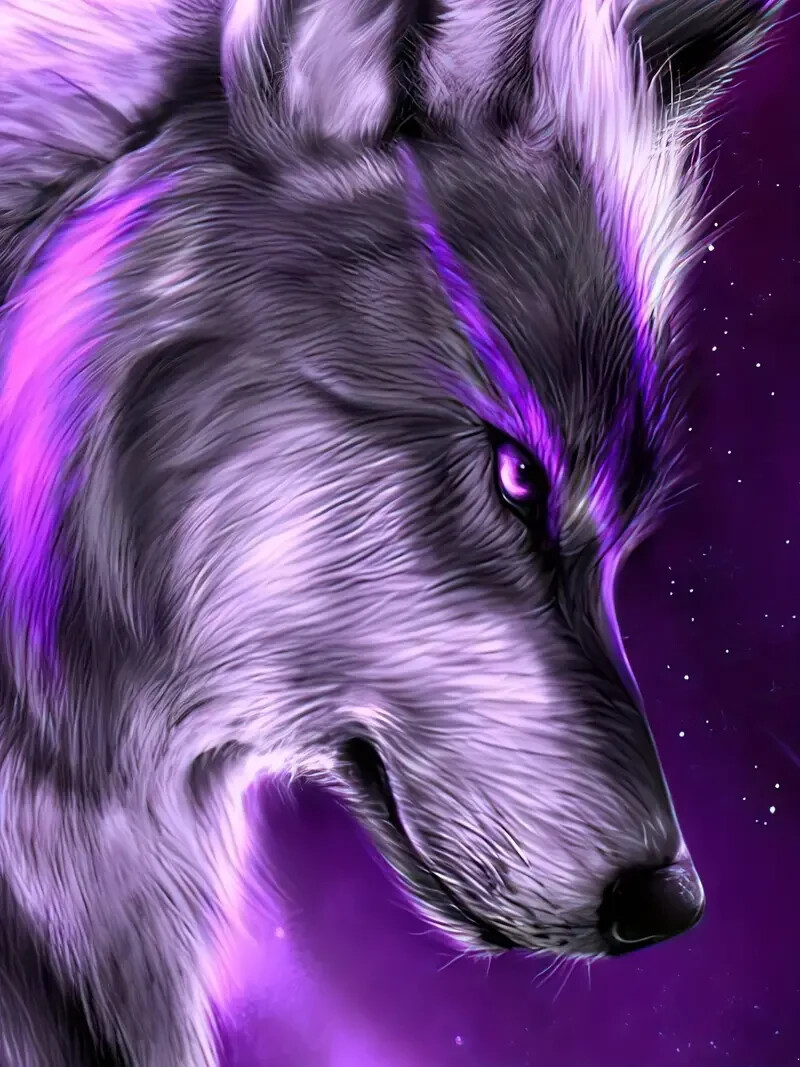 GRAPHIC WOLF 3D all over print Unisex T-Shirt XL VERY COOL