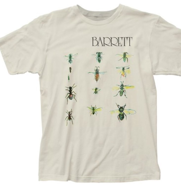 Syd Barrett Barrett Mens T Shirt Natural