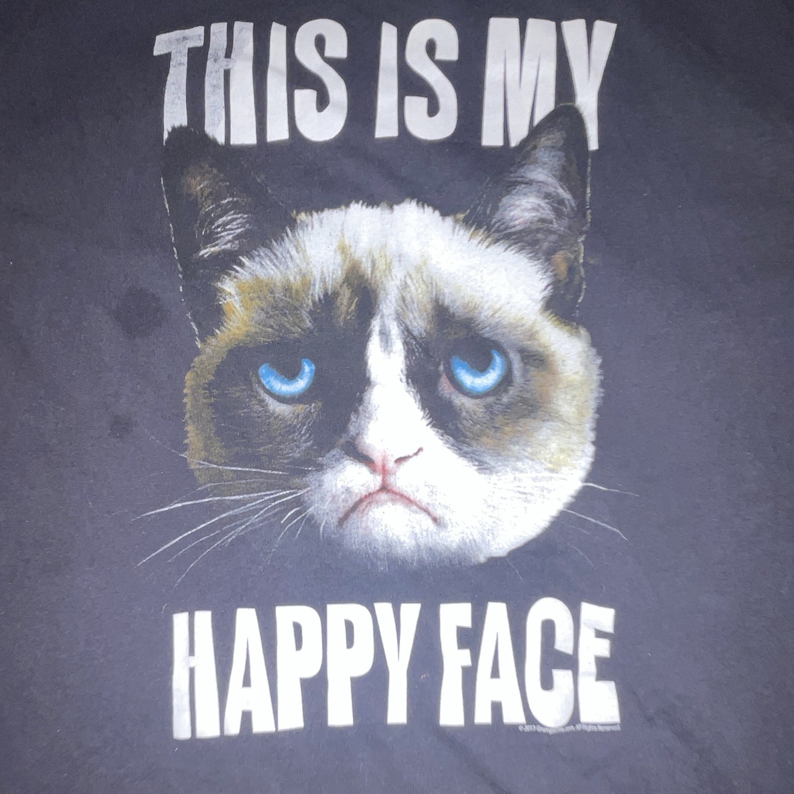 Official Grumpy Cat Graphic Tee- Size XL Minimal Wear