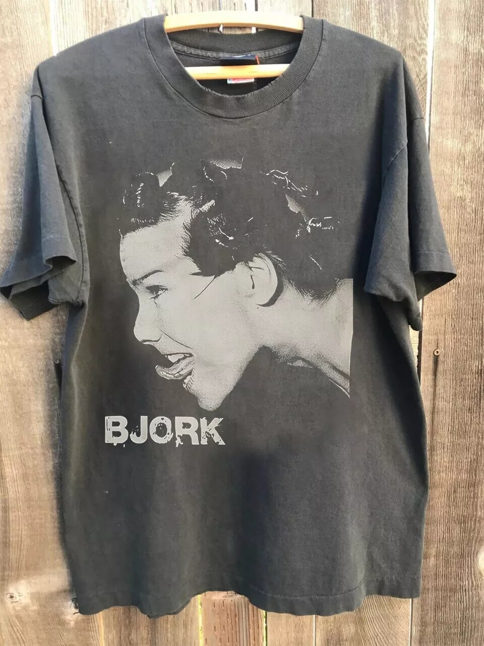Bjork Graphic Tshirt, Bjork Charcoal Unisex Gift For Men Women Tshirt Reprint