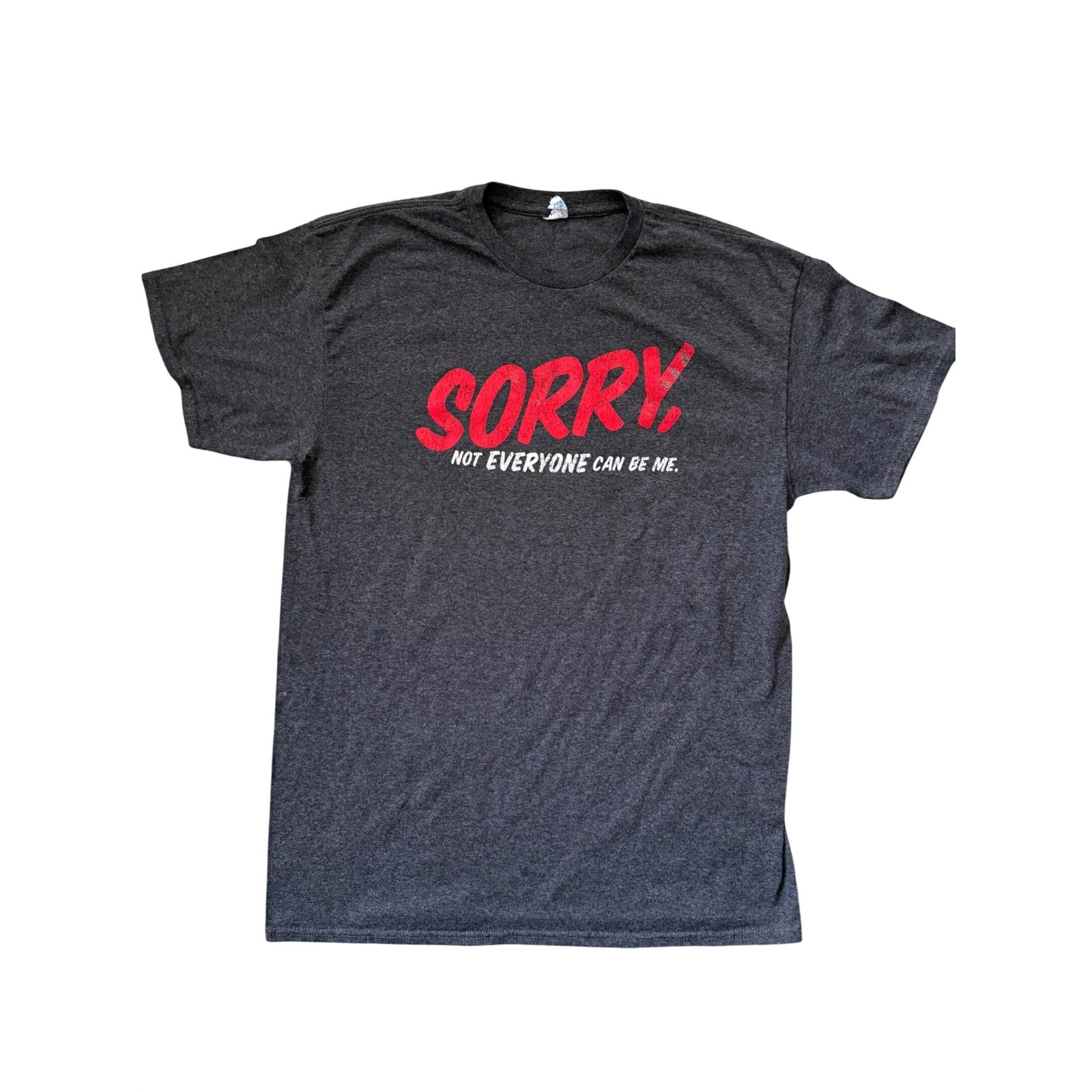 Delta Pro Weight Sorry Not Everyone Can Be Me Graphic T-Shirt Gray Mens Large