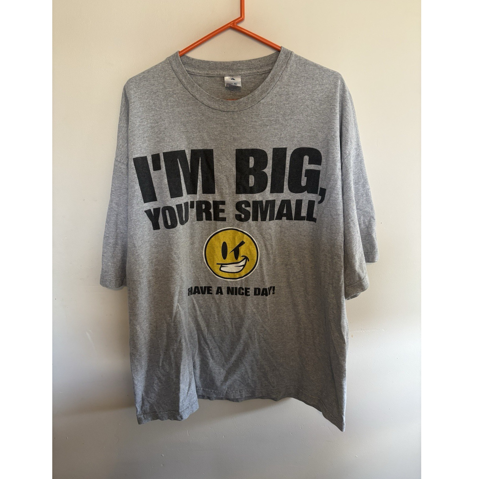 Alstyle Apparel & Activewear Funny Quote Graphic Gray Men’s Cotton Tee 3XL