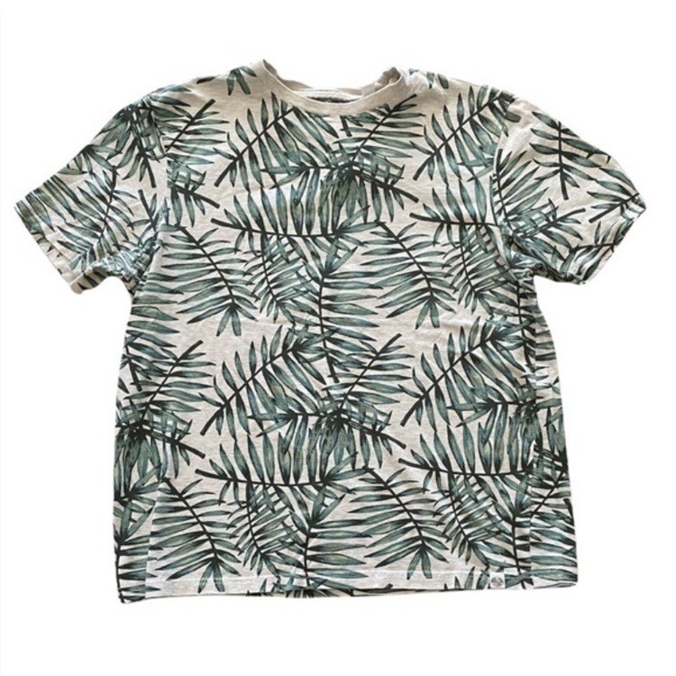 Paper Denim & Cloth Mens Banana Leaf Print‎ T Shirt Sz M