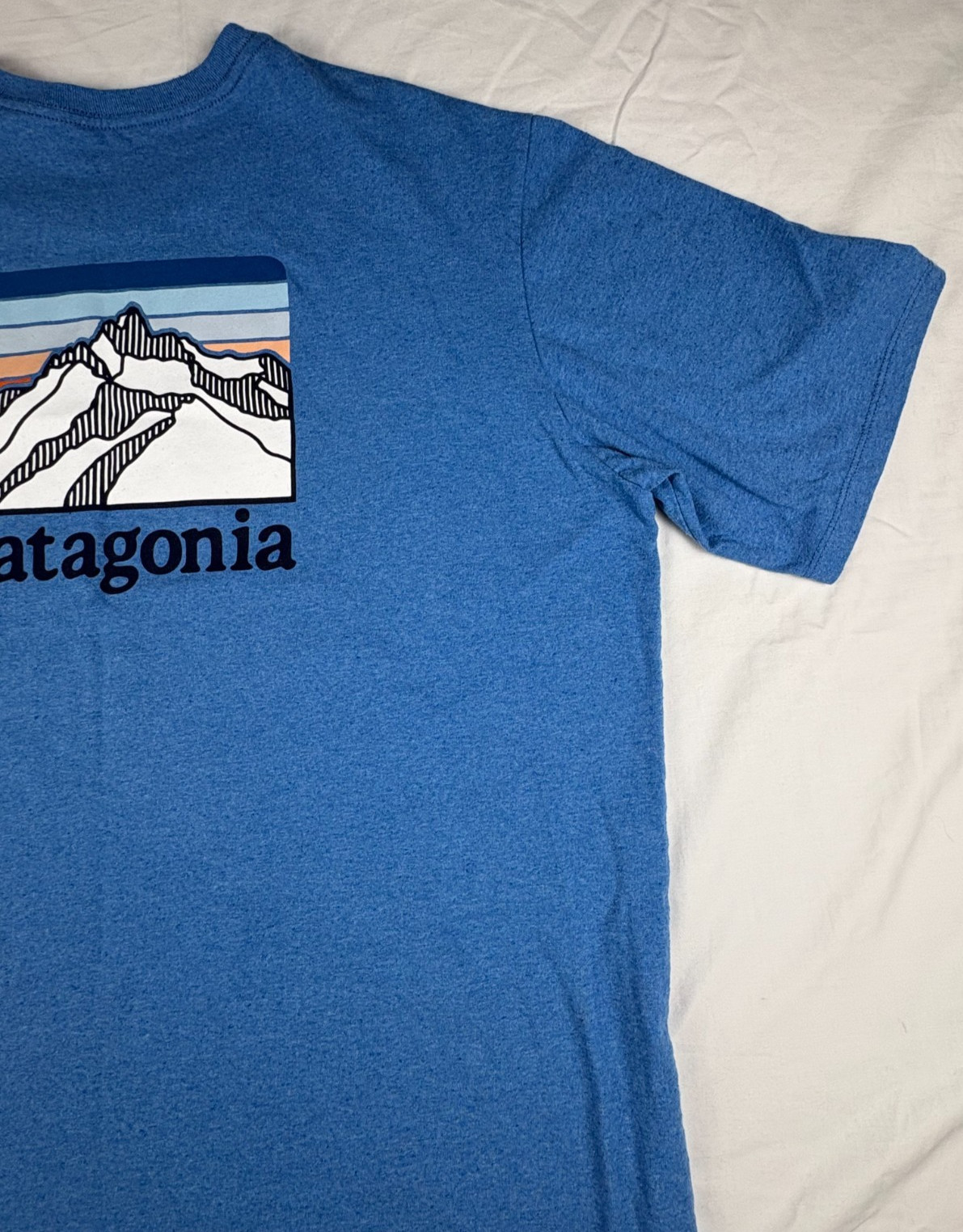 Patagonia T-Shirt Men Large Blue Heathered Short Sleeve Pocket Responsibili-Tee
