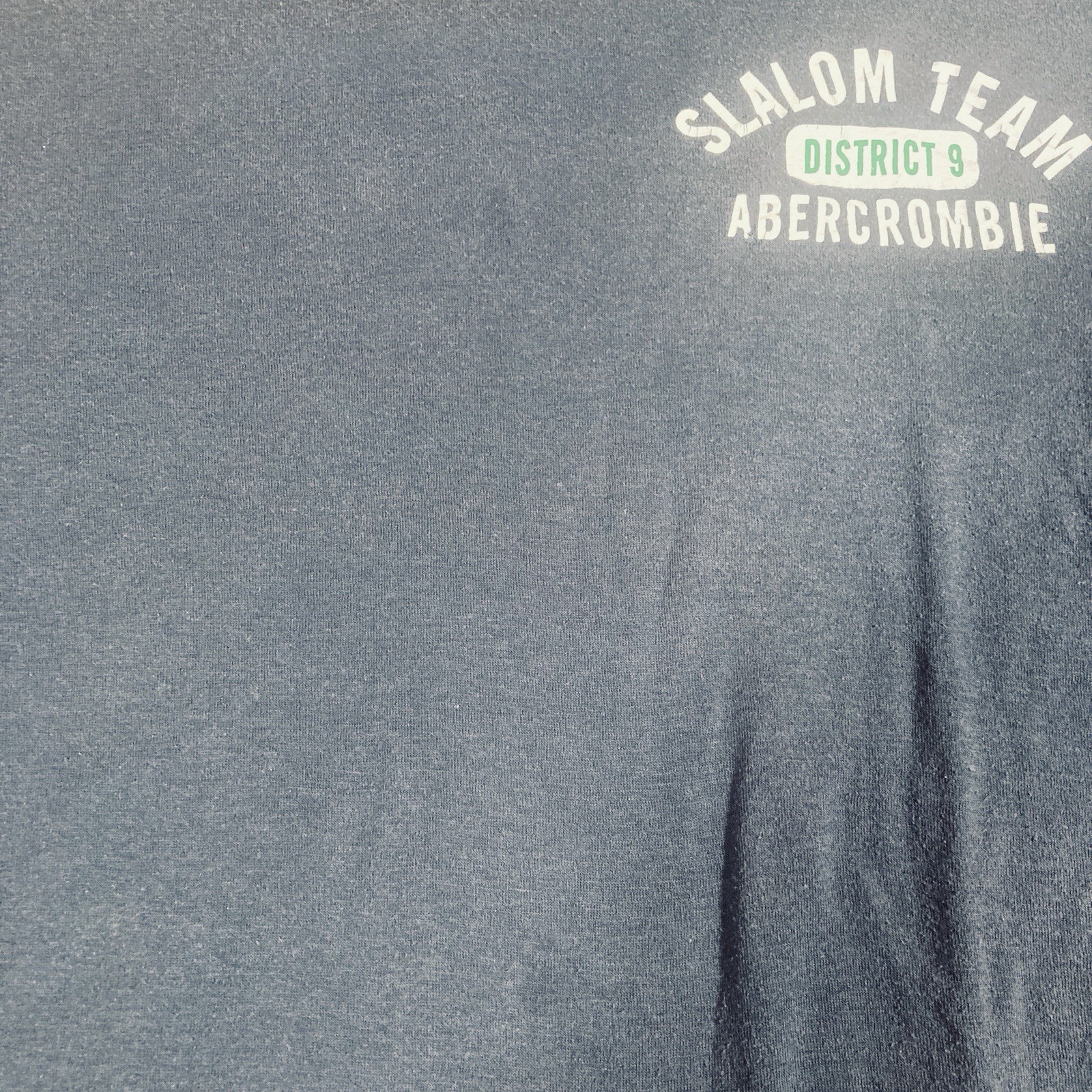 VINTAGE Abercrombie & Fitch Muscle T-shirt XL Blue Slalom Team District 9 Mens