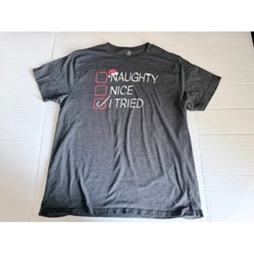 Holiday Time Mens XL Gray Naughty Nice I Tried Christmas Graphic T-Shirt Heather