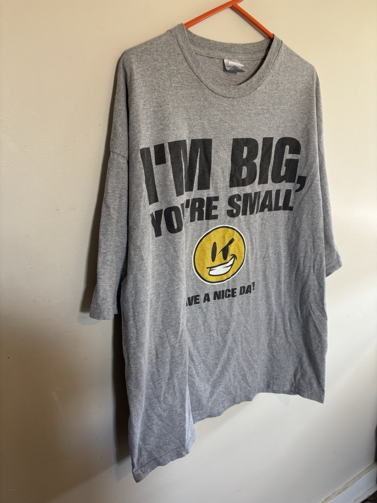 Alstyle Apparel & Activewear Funny Quote Graphic Gray Men’s Cotton Tee 3XL