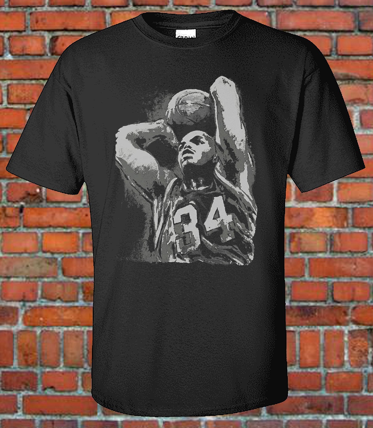 Vintage recreation Barkley Dunking – Graphic T-Shirt