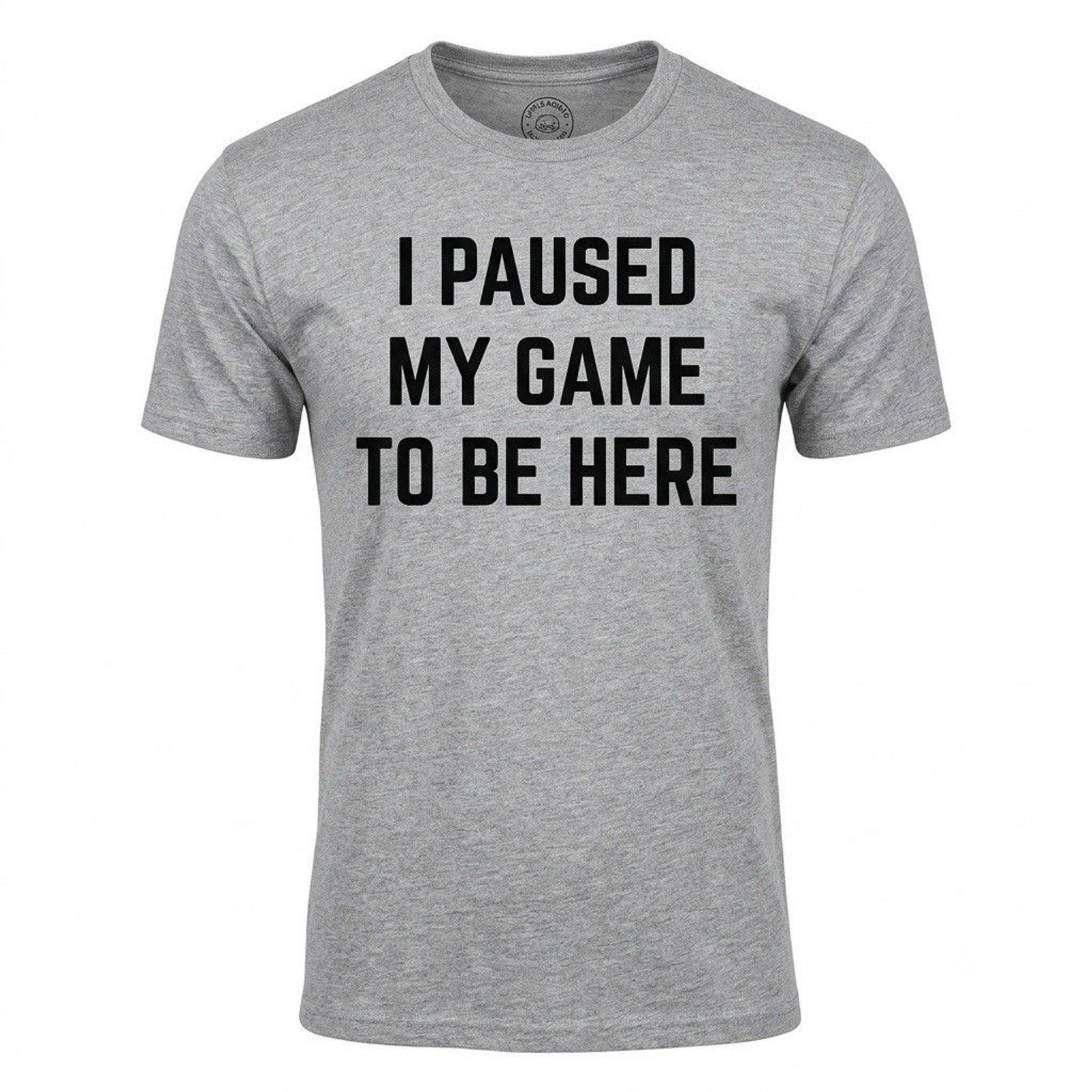 Ann Arbor T-Shirt Company “I Paused My Game To Be Here” Gray Graphic Tee Size L