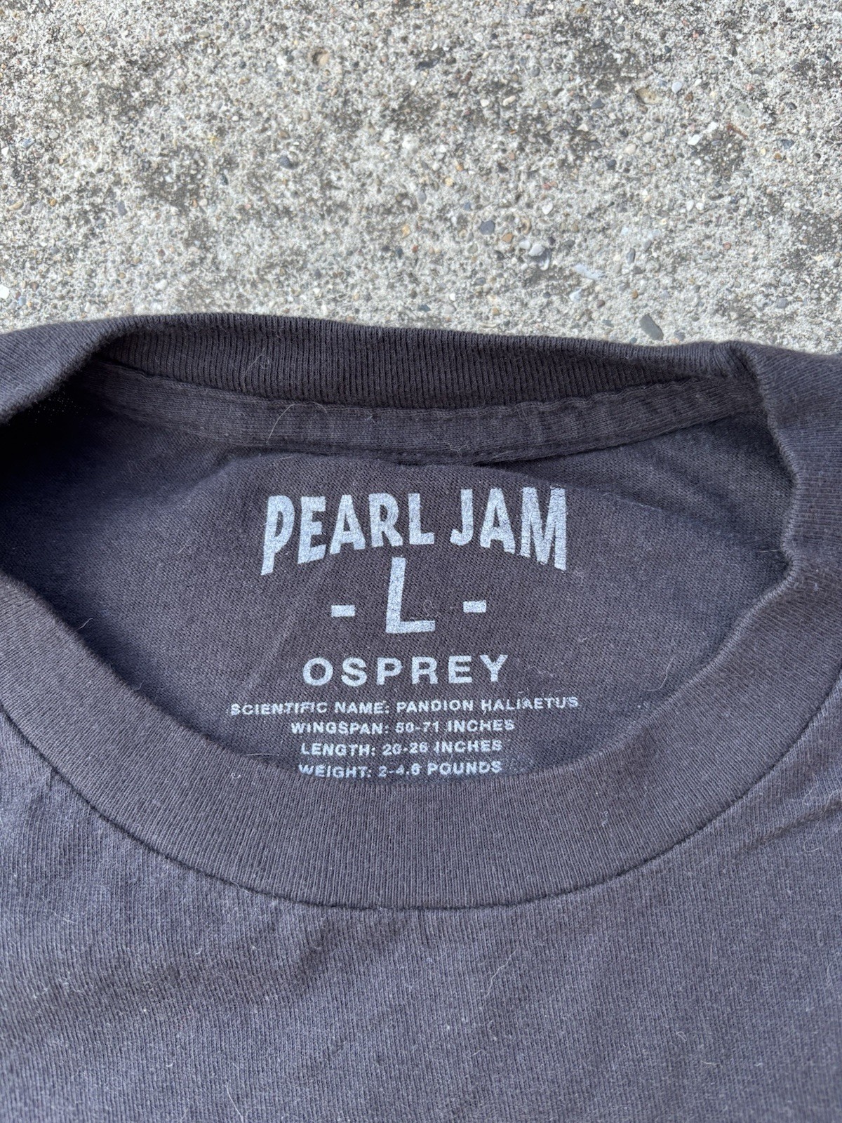 Pearl Jam 2018 Seattle Shirt nirvana kurt cobain soundgarden alice in chains tad
