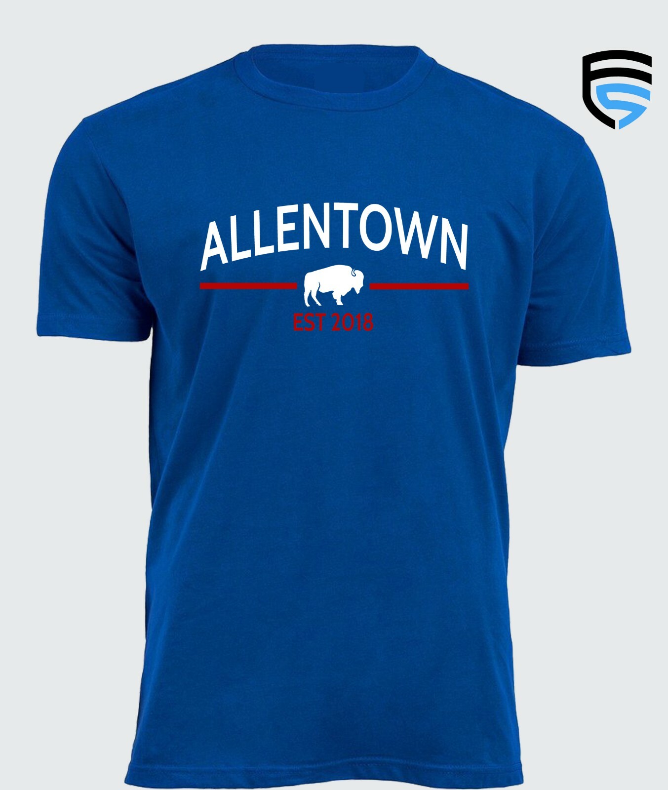 ALLENTOWN NY | Buffalo Football themed Pre-Shrunk Ring Spun Cotton T-Shirt